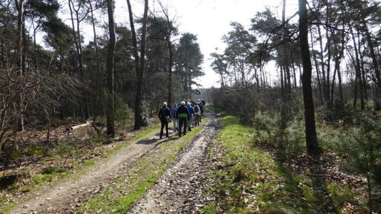 Overtollige kilo’s feestdagen kwijtraken met Winterwandeltocht in Deurne van AV-LGD