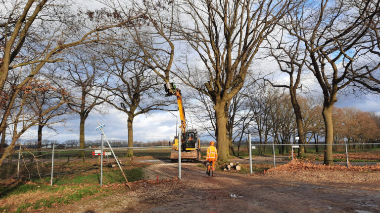 Boom aan Snoertsebaan weggehaald vanwege verkeersveiligheid