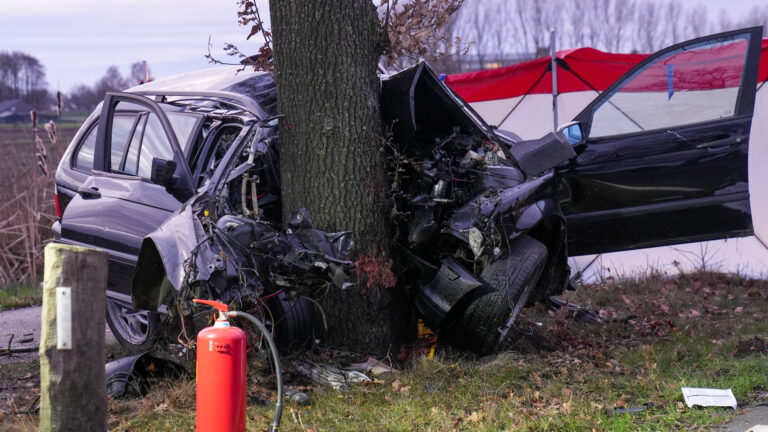 Deurnese automobilist (19) overleden na botsing tegen boom op Bakelseweg Deurne