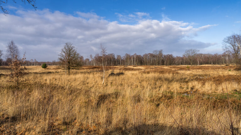 Vragen over water, natuur en landbouw in regio beantwoord in serie over toekomst Peelvenen