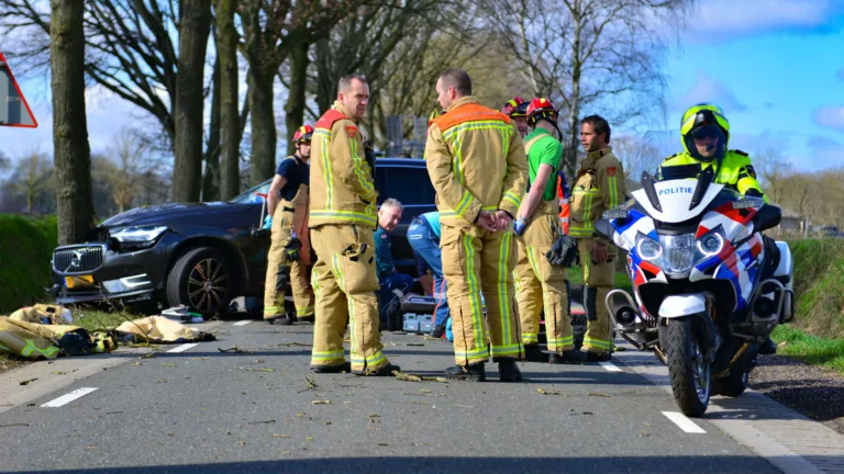 Automobilist overleden na klap tegen boom op Breemortelweg Deurne