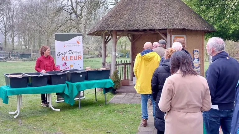 Actie in Deurne met gratis bloemzaad is schot in de roos