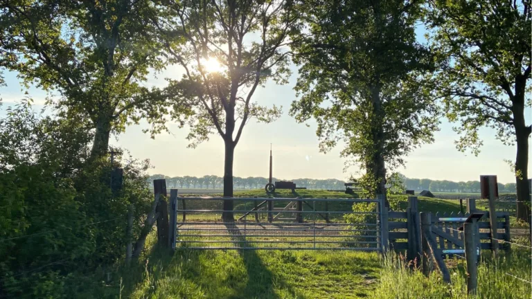 Wandeling en lezingen in natuur van de Peel voor wie wil werken aan gezonde ademhaling