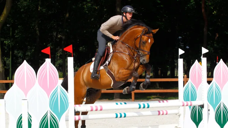 Kennismaken met paardensportwereld tijdens Jump 4 Joy bij Green Valley Estate