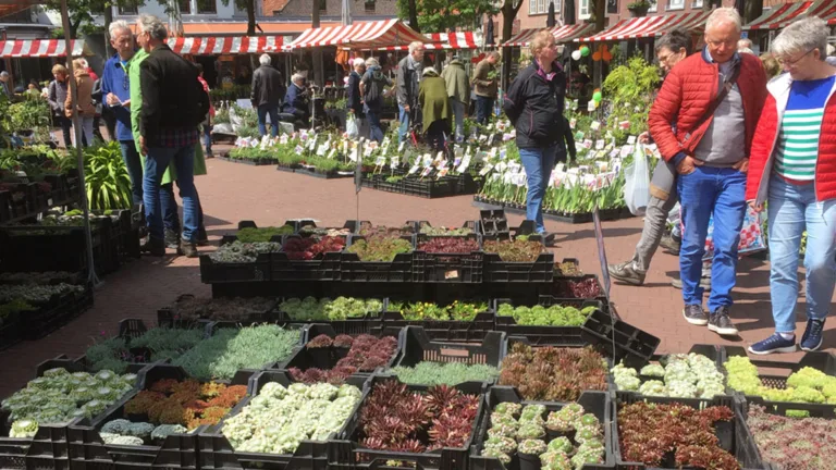 Centrum Deurne kleurt groen met grote planten- en tuinmarkt