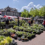 Plantenmarkt_Groei&Bloei_13052023_foto_Josanne_van_der_Heijden-4530