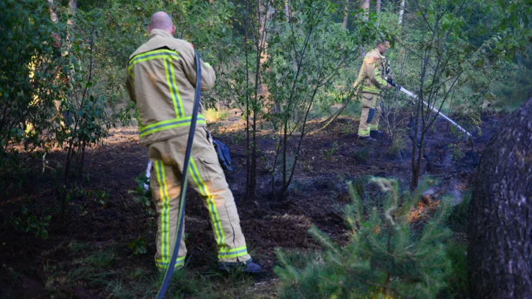 Brand in Walsbergs bos snel geblust; vuur mogelijk opzettelijk aangestoken