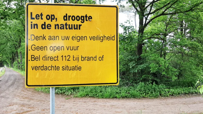 Vier bosbranden in regio op één middag; gemeente waarschuwt voor natuurbrandgevaar door droge weer