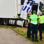 Vrachtwagen rijd boom eruit Bakel