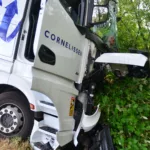 Vrachtwagen rijd boom eruit Bakel