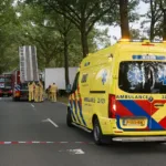 Vrachtwagen rijd boom eruit Bakel