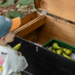 Nijntje_groente_en_fruit_beweegwandeling_20230714_foto_Josanne_van_der_Heijden-9479