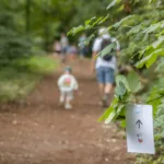 Nijntje_groente_en_fruit_beweegwandeling_20230714_foto_Josanne_van_der_Heijden-9516