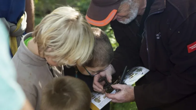 IVN zoekt vrijwilligers die schoolgids willen worden in Nationaal Park De Groote Peel