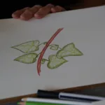 WORKSHOP DE WIEGER (13)