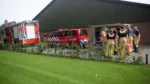 Biggetjes door varkensrooster Milhezerweg