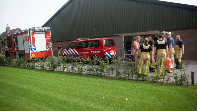 Honderd biggetjes zakken door rooster in Deurne; brandweer redt 27 dieren