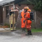 Biggetjes door varkensrooster Milhezerweg