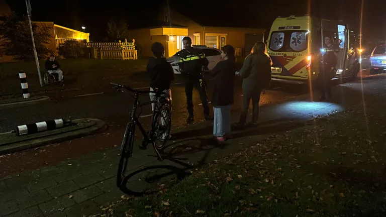 Fietser onderuit tegen paaltje bij St. Willibrordusplantsoen door bladeren op wegdek