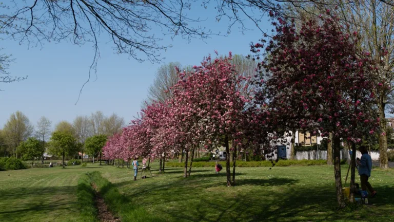 Informatieve wandeling langs Peelrandbreuk in Heiakker Deurne