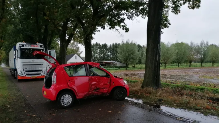 Auto raakt van de weg en knalt op boom aan Zandschelweg in Deurne