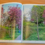 Peellandbreuk_Kleurrijk_Zwartboek_De_Heiakker_12102023_foto_Josanne_van_der_Heijden-7337