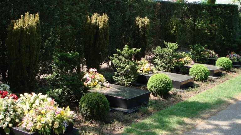 Gemeente zoekt rechthebbenden van graven op begraafplaats Jacobshof in Deurne