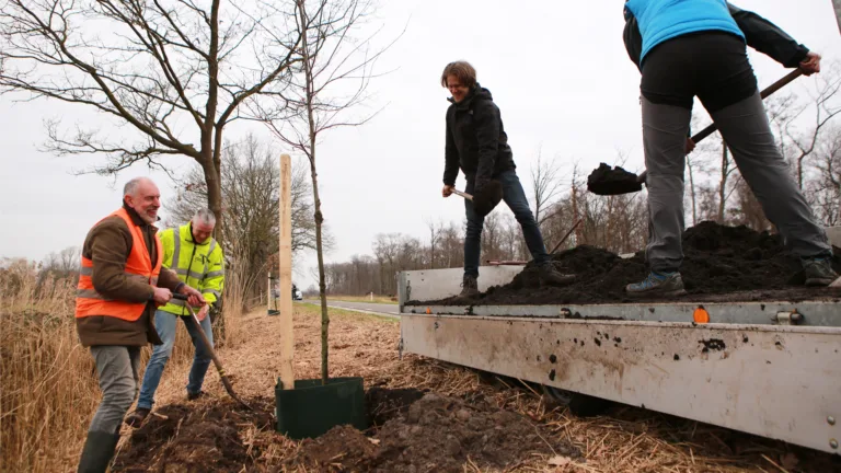 Vrijwilligers herstellen natuur Helenaveen: ‘Van de 500 bomen, zijn er nu 457 stuks geplant’