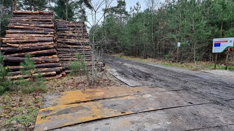 Politie zoekt getuigen van diefstal met geweld in bosgebied tussen Liessel en Asten