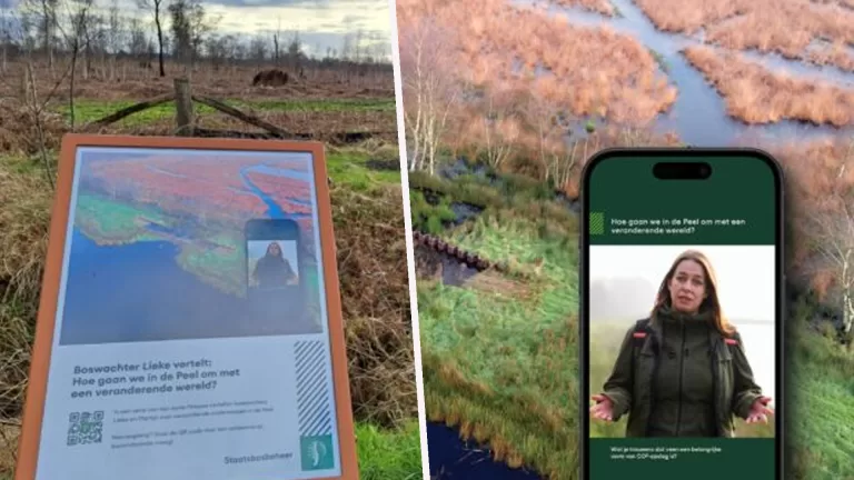 Scan QR-codes in de Peel en boswachters Lieke en Martijn vertellen over natuur en cultuur