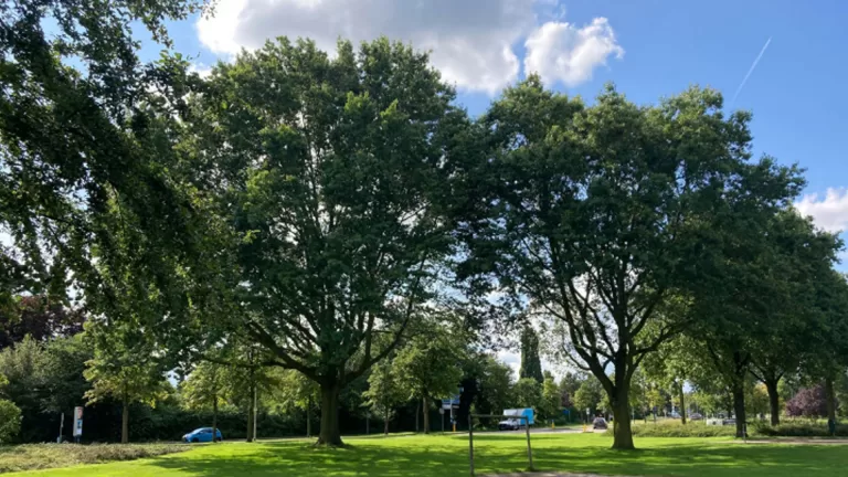 Deurne krijgt eigen Urban Sportpark aan Dunantweg; ‘Op eigen manier en tempo sporten’