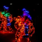 HEILIGHT PARADE 2024 (83)