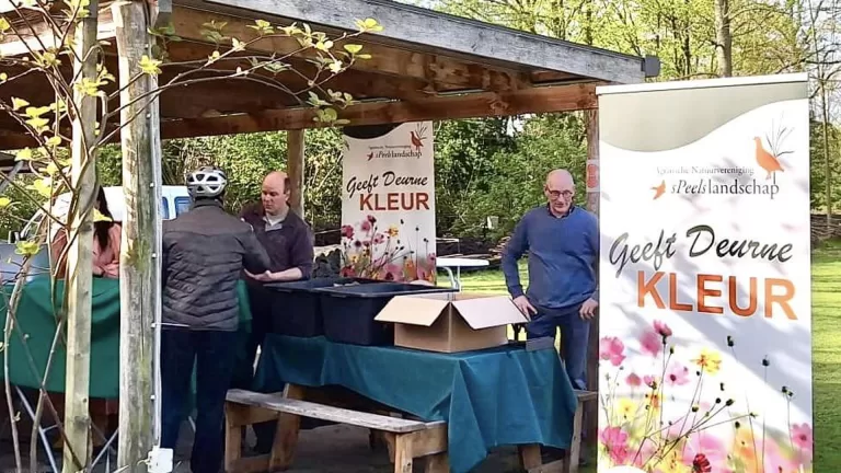 Actie met gratis bloemzaad levert 22 hectare aan nieuwe bloemenweiden op in Deurne