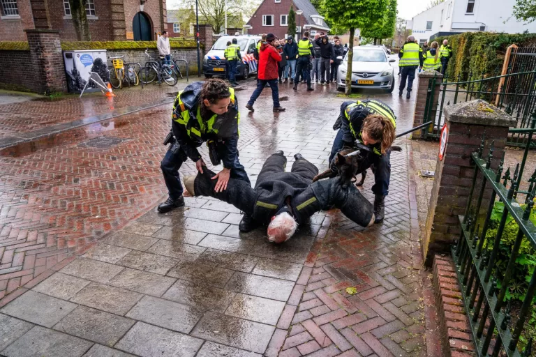 Markt in Deurne toneel voor grote politieoefening; ‘Het kan er heel realistisch uitzien’