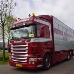 Truckrun 2024 (28)