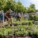 Bloemenmarkt_2024_Groei&Bloei_11052024_foto_Josanne_van_der_Heijden-8648