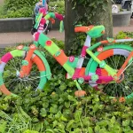 GEHAAKTE FIETS (2)