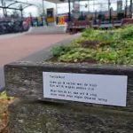 Gedicht Twijfelkont van gedichtenroute