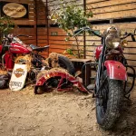 Gladiatoren_van_Deurne_2024_29062024_foto_Josanne_van_der_Heijden-5240