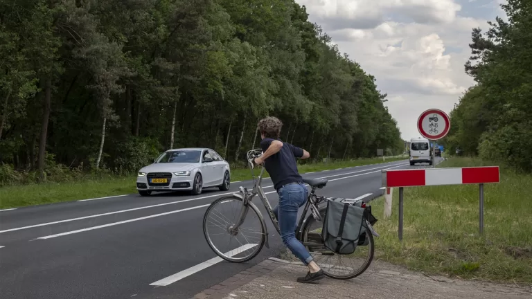 Omwonenden N279 bij Vlierden en Ommel pleiten voor faunatunnels, geluidschermen en ongelijkvloerse oversteken