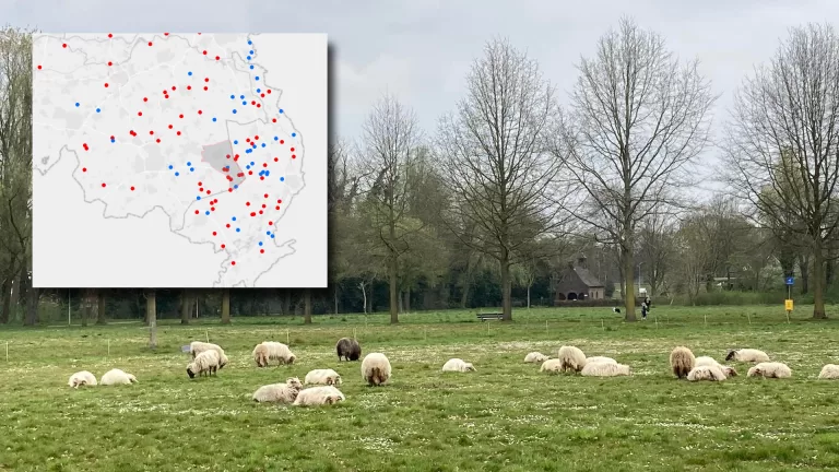 Negen besmettingen met blauwtongvirus in gemeente Deurne geconstateerd