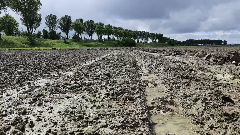 Schade door wateroverlast bij ZLTO-leden geschat op 41 miljoen euro