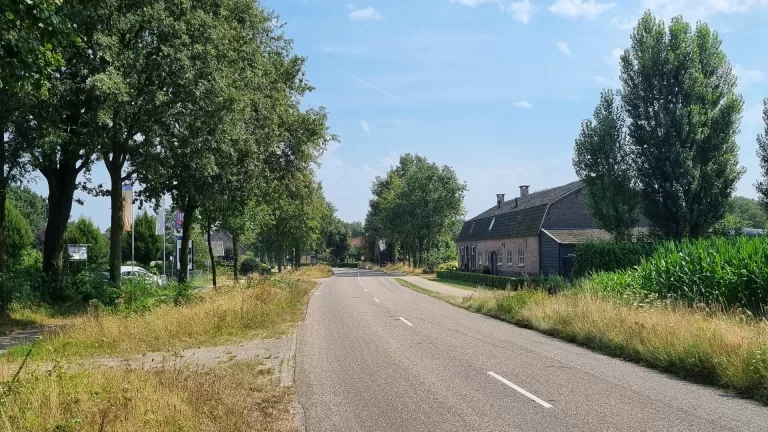 Politie zoekt getuige van dodelijk verkeersongeluk op Schutboomsestraat in Milheeze