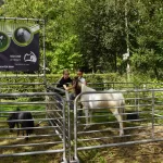 GROENMARKT DEURNE 2024 (10)