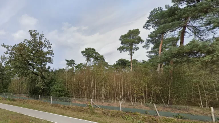 Bosranden aan Helmondsingel (N270) worden natuur- en diervriendelijker