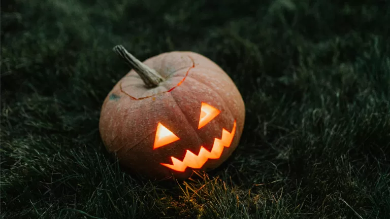 Griezelen in de Peel tijdens Halloweentocht bij Toon Kortooms Park in Deurne