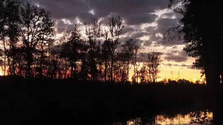 De Peel in het donker beleven tijdens Nacht van de Nacht in Helenaveen