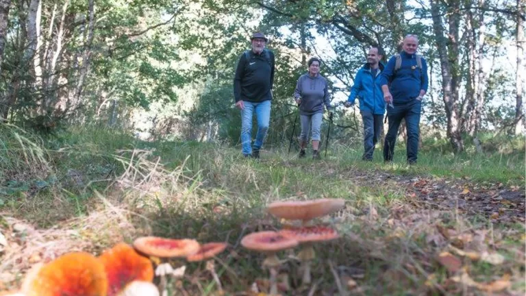 Proeven van de Peel in de herfst tijdens wandeltocht en trailrun van AV-LGD