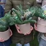 IJSFESTIJN WORKSHOP KERSTSTUKJE (16)