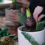 IJSFESTIJN WORKSHOP KERSTSTUKJE (3)